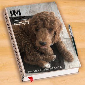 Meet your Posher, Alicia